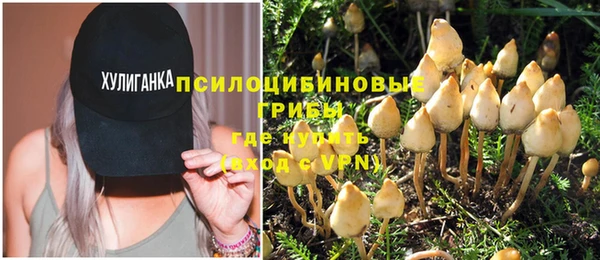 тгк Сатка